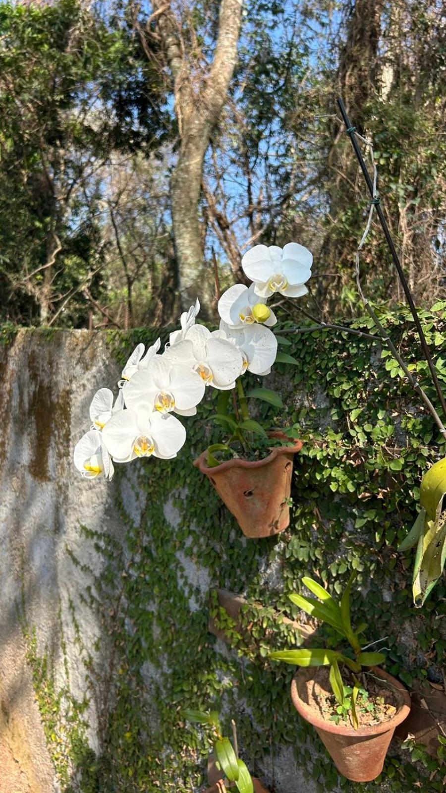 Pousada Costa Rielli Águas de Lindoia Exterior foto